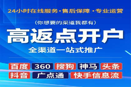 成功运用SEM技术提升网站流量的案例研究